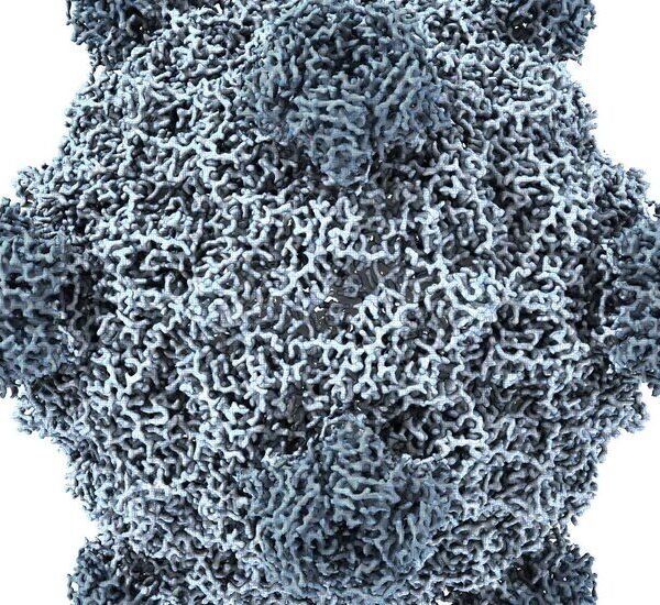 This A.I. Just Created Viruses Not Found in Nature