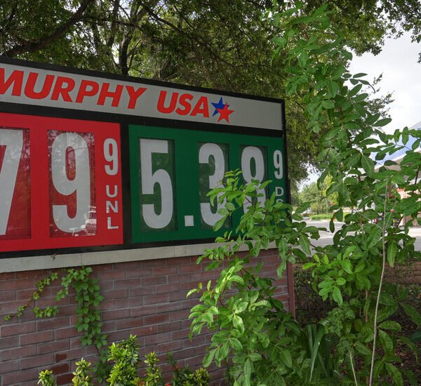 Oil Prices Plummet as Investors Digest Pause in Fighting in Iran War