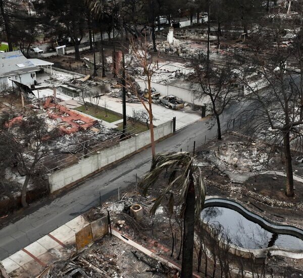 Officials Say They’ve Found the Cause of a Fire That Devastated L.A.