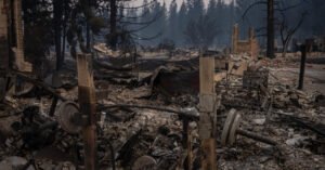 Man Arrested on Suspicion of Arson in Spokane Wildfire