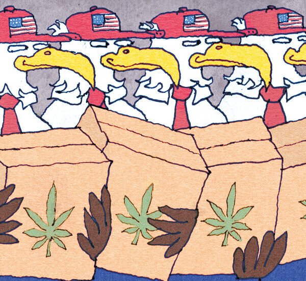 Opinion | Europe Is Not Ready for American Weed