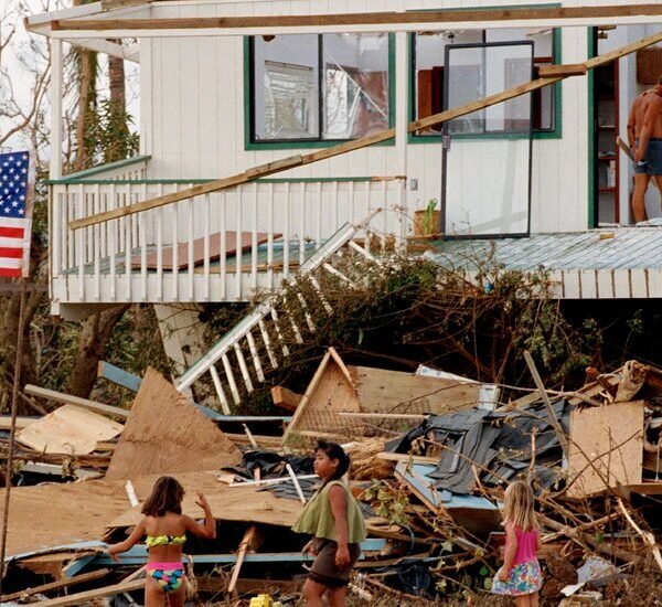 The Last Hurricane to Hit Hawaii Became a Movie Star