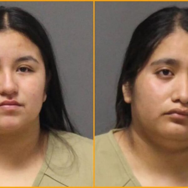 HORROR: Biden-Released Illegal Alien Who Never Had a Driver’s License Charged With&hellip;