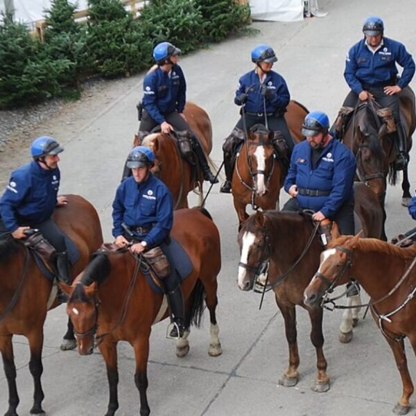 BELGIUM NARCO-DYSTOPIA: Prosecutor in Capital Brussels Is Lashing Out on the Lack&hellip;