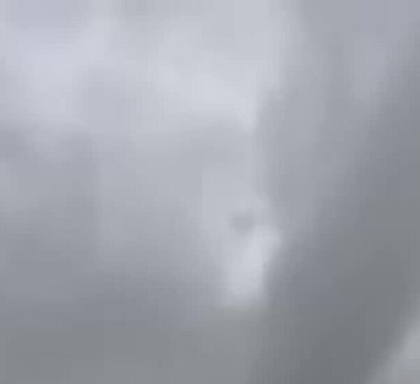 Rare Tornadoes Hit New York City as Storm Drenches Mid-Atlantic