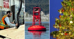 What Canadian Goods Will Take Trump’s 50% Tariffs? Some Pretty Strange Items.