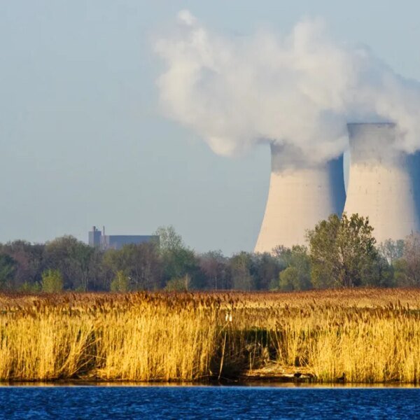 AI nuclear energy agency Fermi lastly has a brand new CEO
