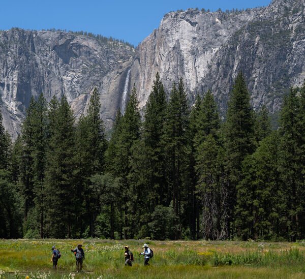 Trump Administration Looks to Give a Swath of Yosemite Park to Developer