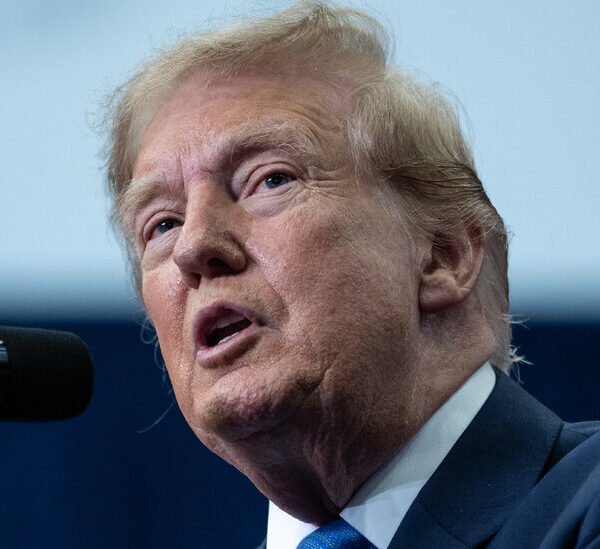 IRS Audit Revenue Has Plummeted Under Trump, Watchdog Finds