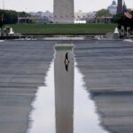 Trump blasts Pirro after she admitted Reflecting Pool harm was attributable to botched set up