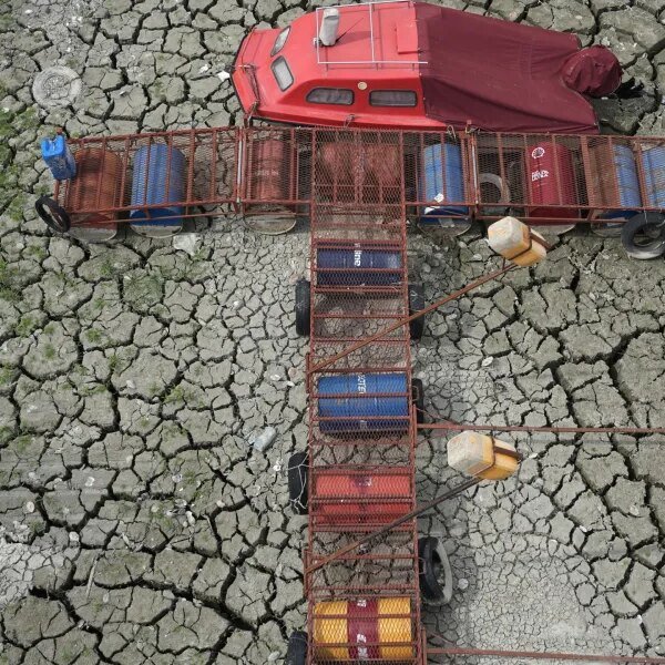 Europe’s summer time drought is so excessive that desertification is a rising…