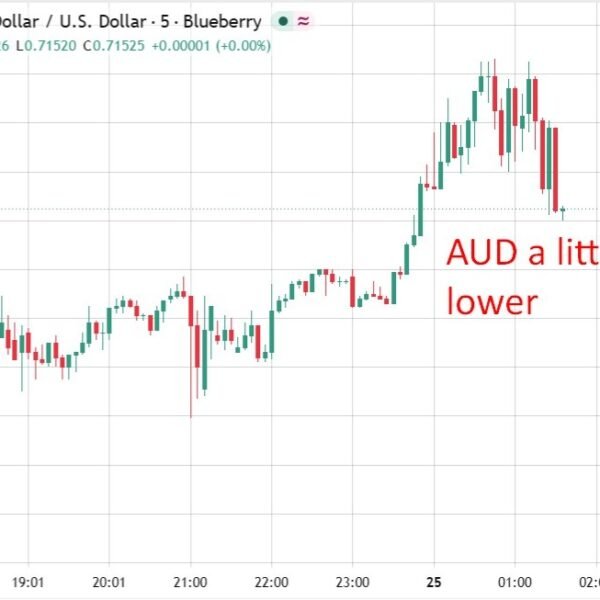 RBA minutes reveal reside debate over a pre-emptive August hike