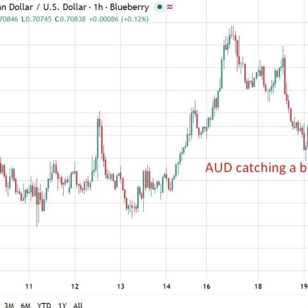 RBA dep Gov Hauser says inflation is simply too excessive, financial coverage&hellip;