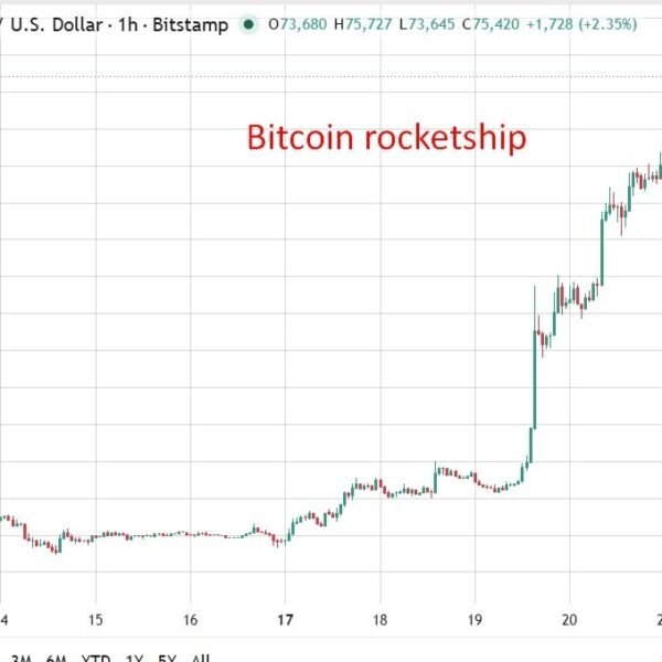 USD slammed in Asia Friday: Bitcoin, gold, FX surge as buyers hedge…