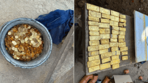 Construction staff discover $10 million in gold whereas constructing sewer beneath brewery