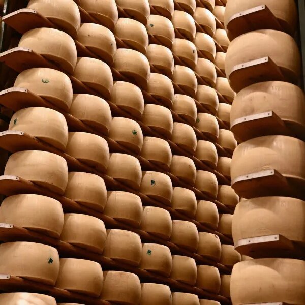 Climate change is threatening Italy’s cheese banks that maintain Parmigiano wheels as…