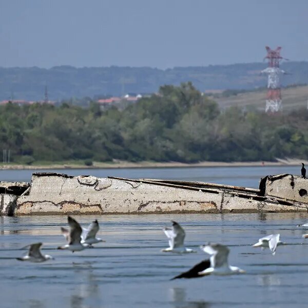 Danube River’s shrinking water ranges expose dozens of World War II ships