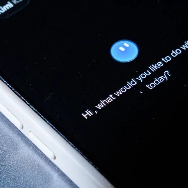 Talking to a bot would possibly really feel good, however a rising…