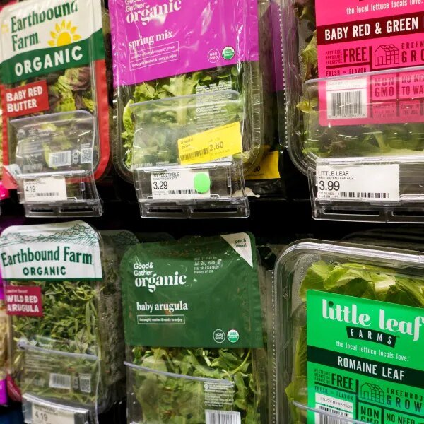 Iceberg lettuce hyperlink to parasitic sickness spreads to fifteen states, officers say