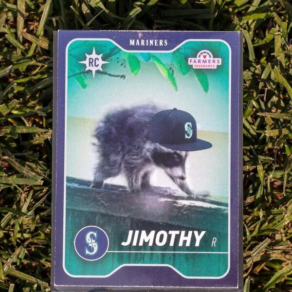 The inspiring survival of Jimothy, the hunchbacked raccoon who conquered Seattle