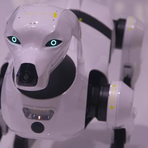 ICE explores buying robotic canines in enforcement tech push