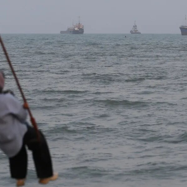 Iran needs a ‘protection’ toll on the Strait of Hormuz, however a…