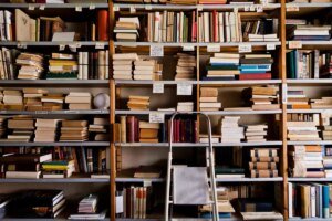 Amazon, as soon as a web-based bookseller, is destroying uncommon books to coach AI fashions