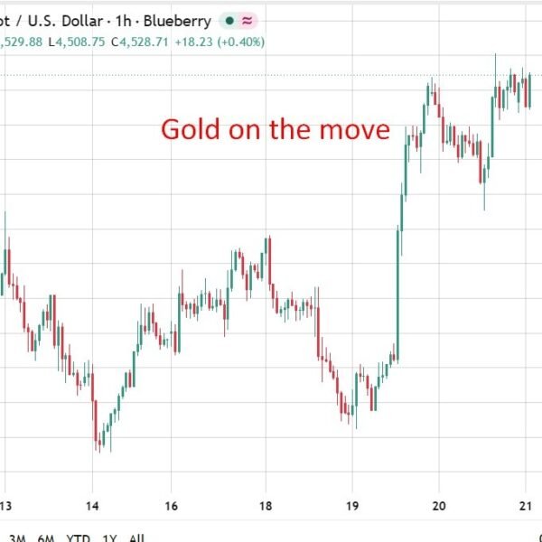 Goldman veteran Currie ties gold rally to debasement as commodities seize shortage…