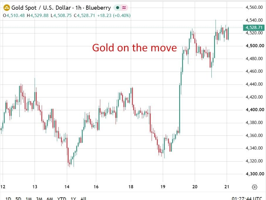 Goldman veteran Currie ties gold rally to debasement as commodities seize shortage premium