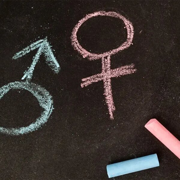 3 detransitioners declare medical doctors pressured them into remedy as teenagers