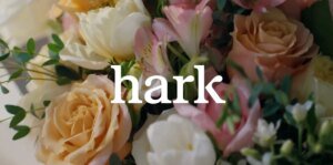 Hark previews its browser use agent for finishing duties