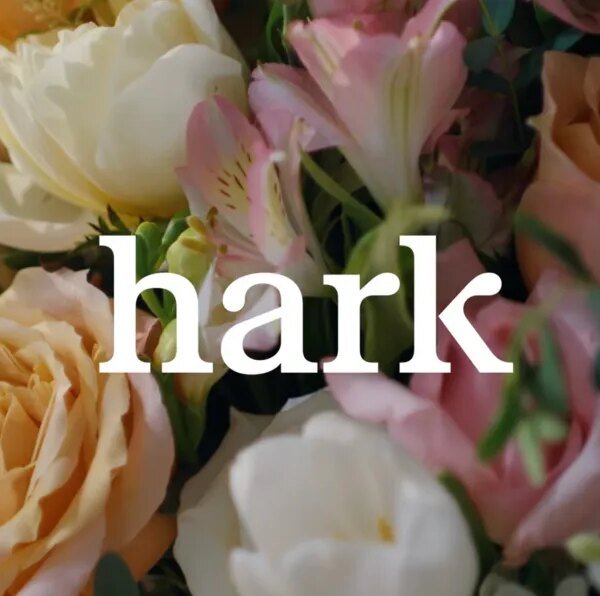 Hark previews its browser use agent for finishing duties