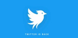 Hold up, there is a new Twitter on the town
