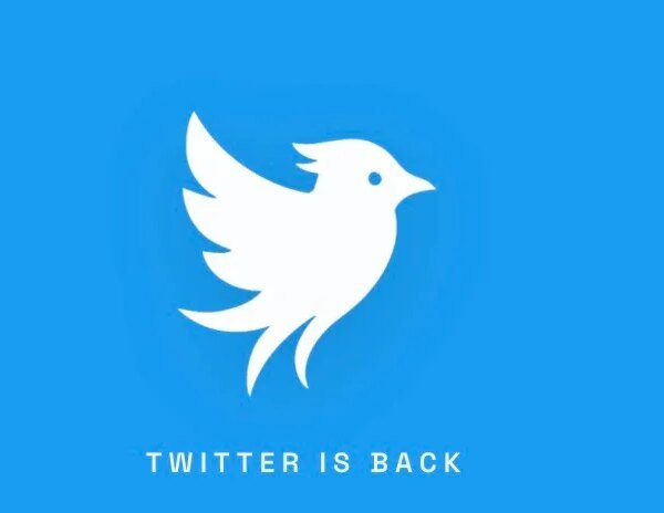 Hold up, there is a new Twitter on the town