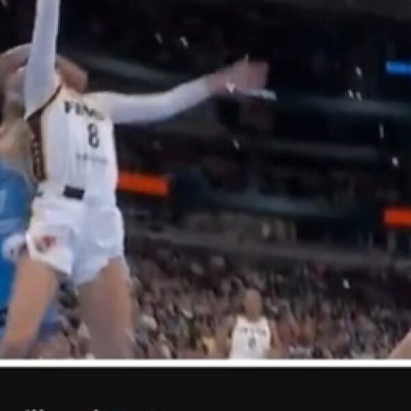 OMG – Black WNBA Player Clotheslines Sophie Cunningham – Gets Kicked Out&hellip;