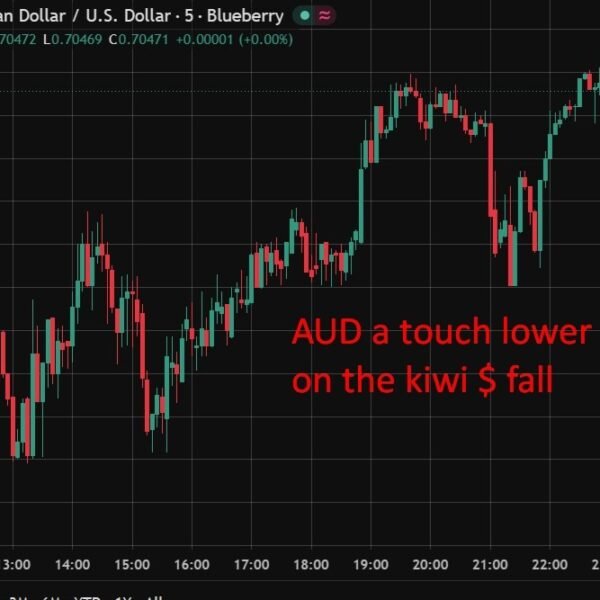 Australia providers PMI hits six-month excessive of 53.6 as new orders return