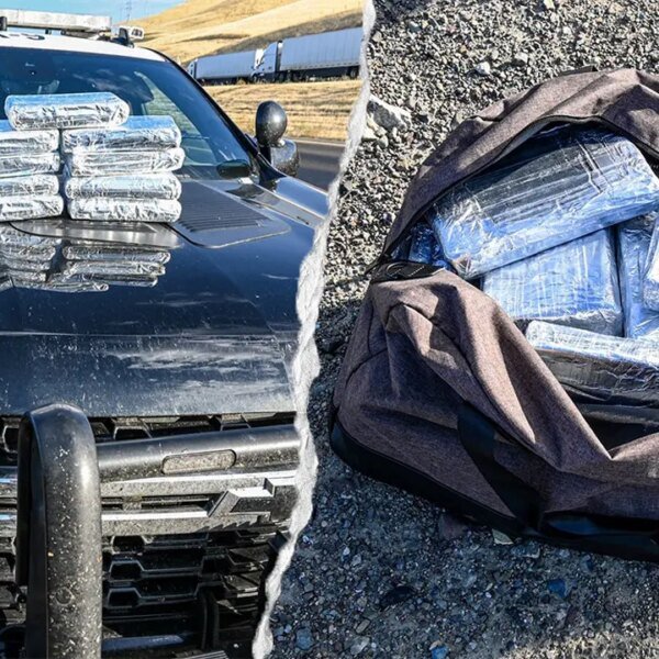 California drug bust seizes over $800K in cocaine at visitors cease