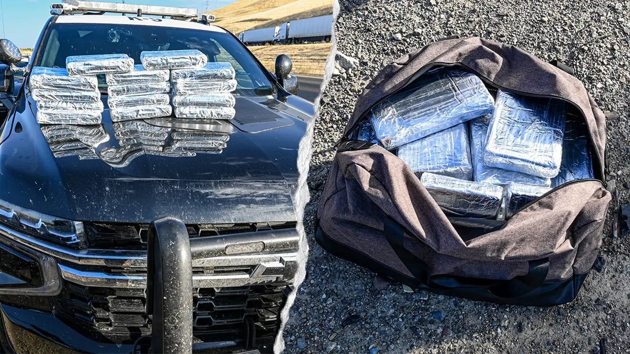 California drug bust seizes over $800K in cocaine at visitors cease