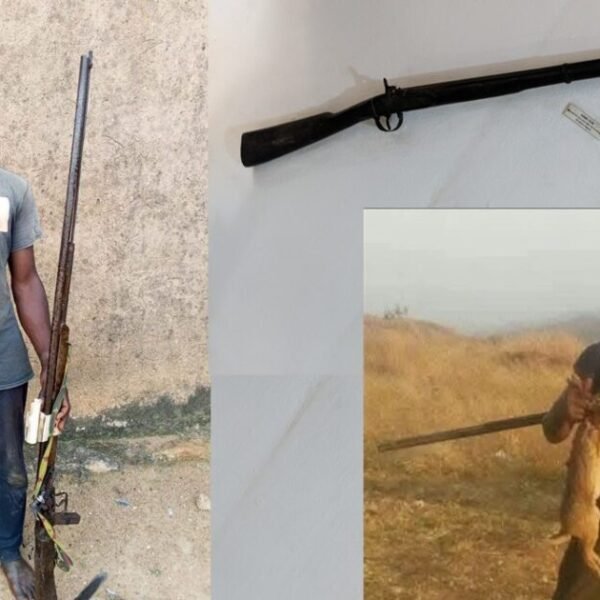 Nigeria: Military Confiscates Homemade Muzzleloaders from Christian Communities * The Gateway Pundit…