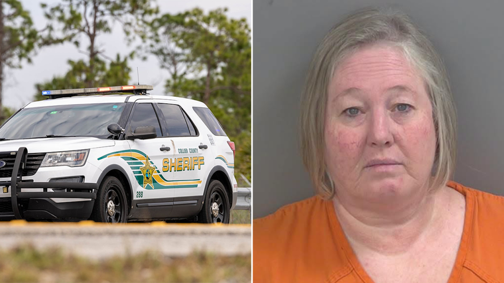 Florida girl faked most cancers to rip-off over 200 folks, charged with grand theft