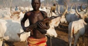Nigeria Christian Community Leader Alleges Land-Grab Agenda Behind Massacres * The Gateway Pundit * by Antonio Graceffo