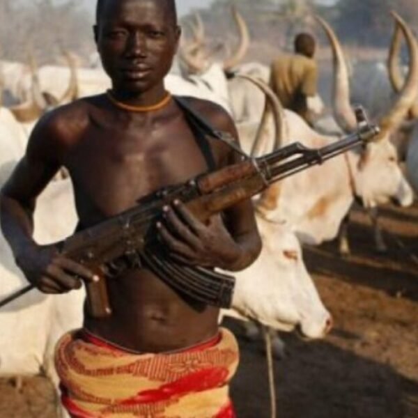 Nigeria Christian Community Leader Alleges Land-Grab Agenda Behind Massacres * The Gateway…