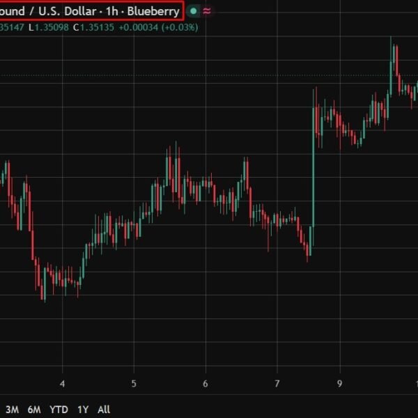 UK knowledge: Barclaycard spending rises 2.0% in July as shopper confidence hits…