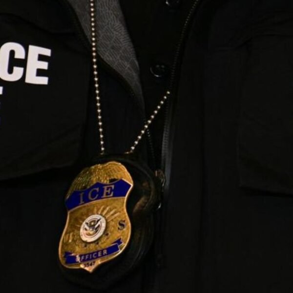 Obama-Appointed Judge Blocks New York’s Attempt to Force ICE Agents to Unmask&hellip;
