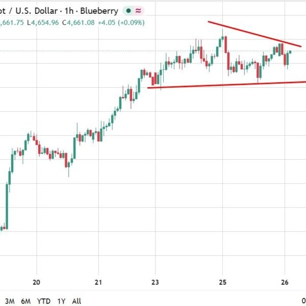 Gold holds close to three month excessive as markets await US inflation…
