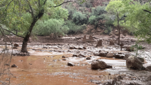 Grand Canyon flash flood leaves 20+ individuals unaccounted for close to Phantom Ranch