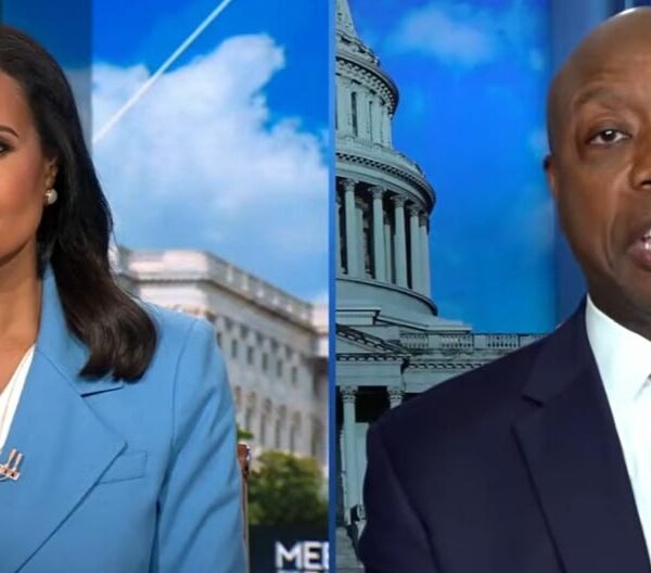 Sen. Tim Scott Falls Apart While Trying To Blame Biden For Trump’s&hellip;