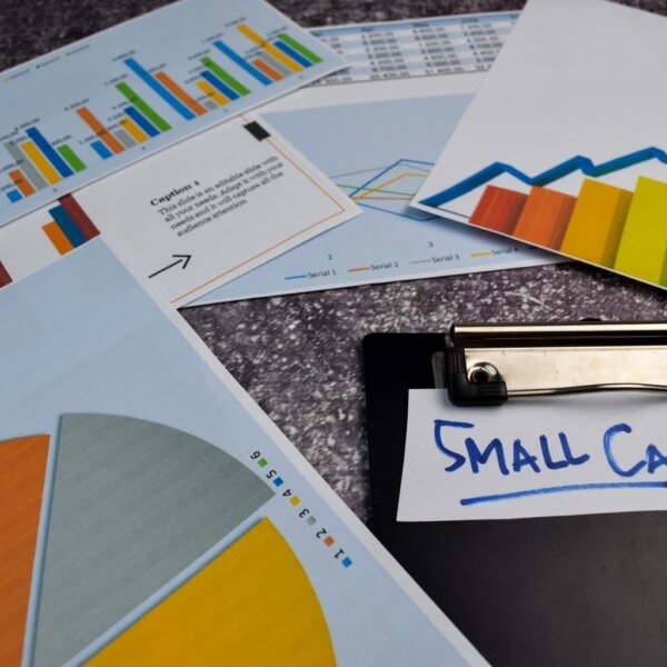 Goldman Sachs Small Cap Value Insights Fund Q2 2026 Commentary