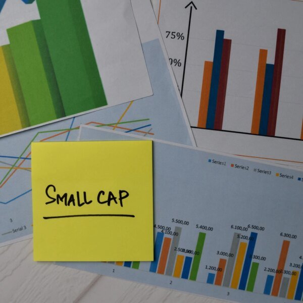 Wasatch Small Cap Value Fund Q2 2026 Commentary