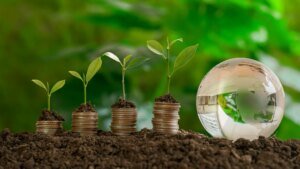 American Century Focused Global Growth Fund Q2 2026 Commentary
